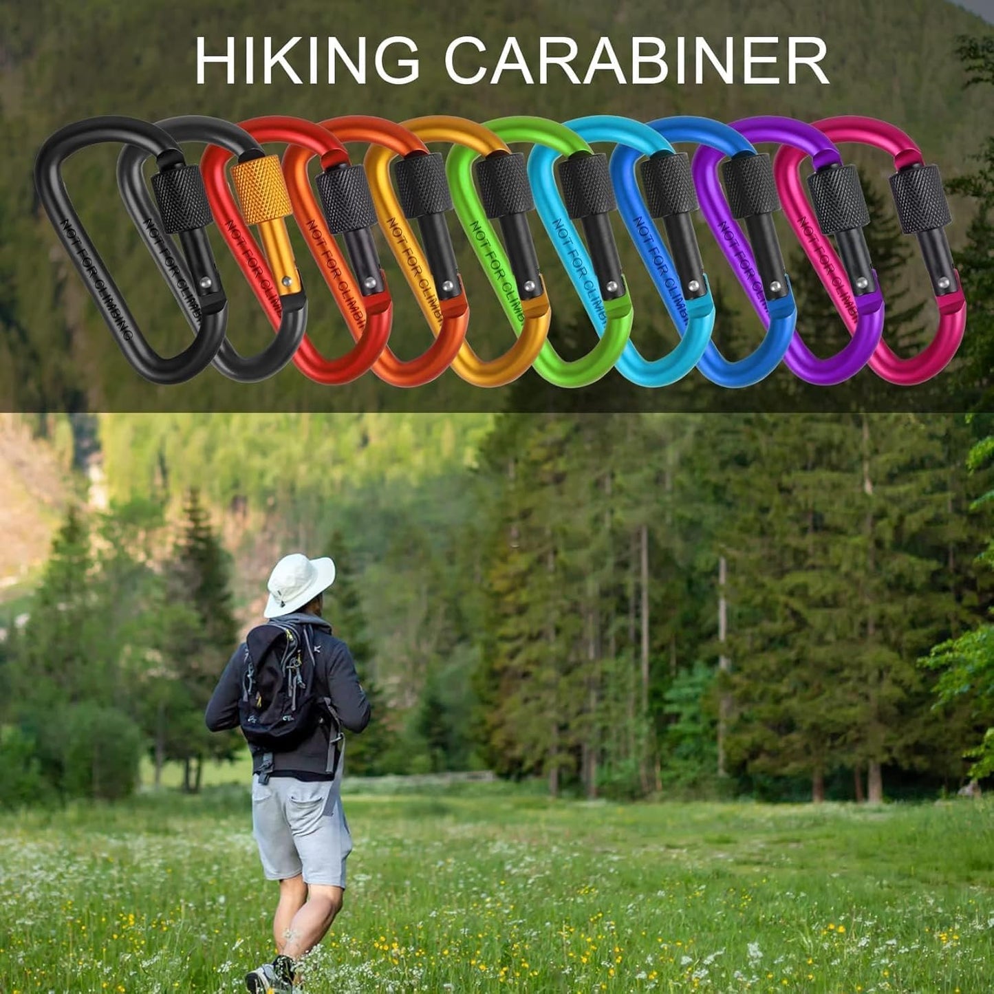 Carabiner Clip, 3 inch Aluminum D-Ring Shape Locking Carabiners, Snap Hook Sport Accessories for Outdoor Camping Hiking 10 Pack